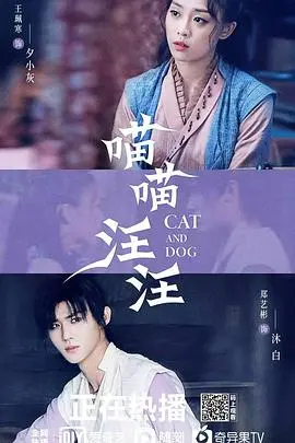 《喵喵汪汪》：年度最萌警匪搭档？爆笑又治愈，小心萌到你！