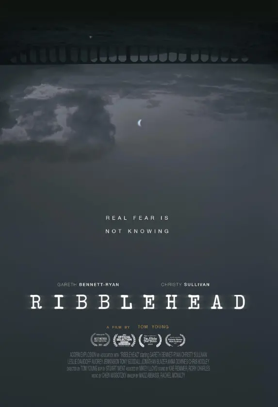 《Ribblehead》：在壮丽铁路桥上，追寻远方彼端的梦想与现实交织的动人故事